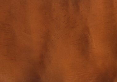 Torginol Ginger P1340 metallic color reference